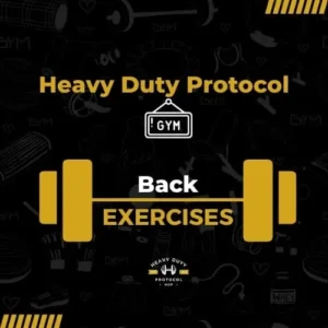 Exercise examples Heavy Duty Protocol - Gym Back Exercises