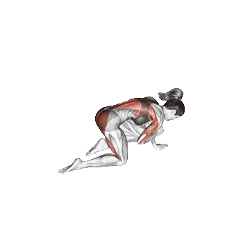 Heavy Duty Protocol - Bird-Dog Exercise