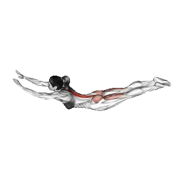 Heavy Duty Protocol - Superman Exercise Exercise