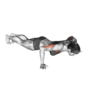 Heavy Duty Protocol - Wide Arm Push-Up Exercise