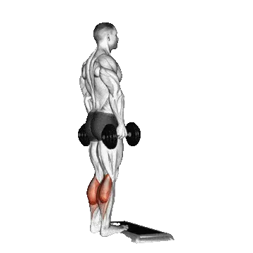 Heavy Duty Protocol - Dumbbell Calf Raise Exercise