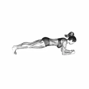 Heavy Duty Protocol - Plank Exercise